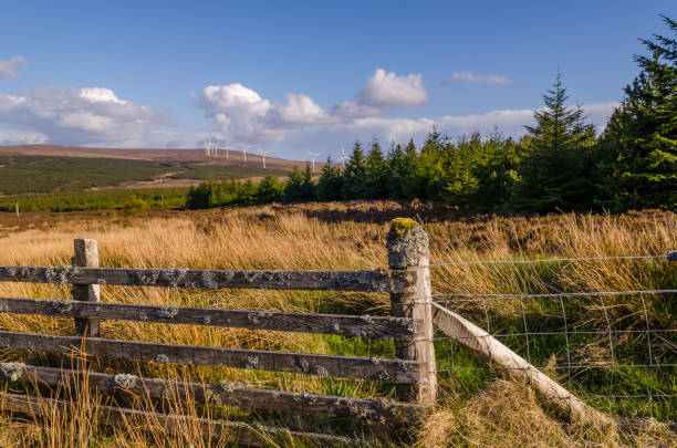 istock Wind energy. Scotland, Great Britain 1219554554