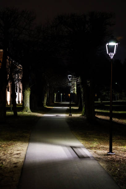 istock Brick path for pedestrians near beautiful old trees with light lanterns. 1219555051