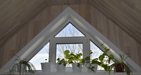 Triangular window with houseplants on the windowsill. Blue sky and trees view. Interior with wood trim