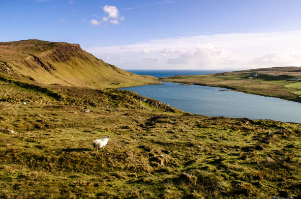 istock Cliffs, isle of skye, Scotland landscape 1219555732