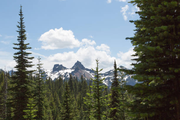 istock Mount Rainier National Park 1219556115