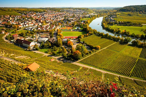 istock Mundelsheim at the river neckar 1219556147