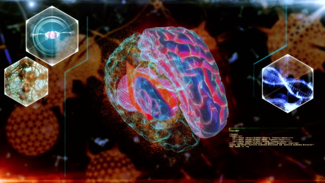 Human Brain neuron Scan