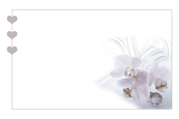 istock arrangement of pink Phalaenopsis Orchid 1219559726