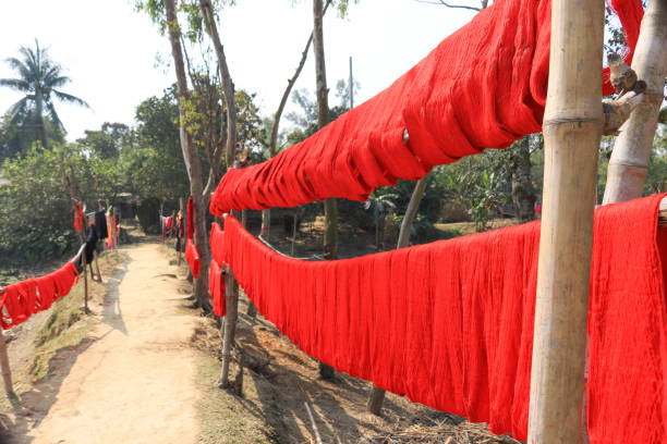 istock Drying natural cotton dye under sunlight. Bangladesh. 1219562475
