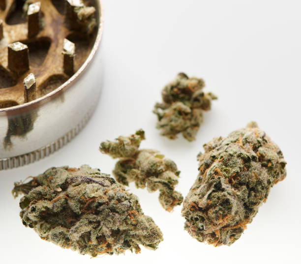 istock Marijuana CBD buds with weed grinder isolated white backgound top view 1219563997