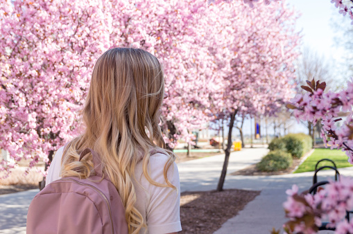 This female student is walking outside on a college campus on a spring afternoon.  She is following a sidewalk and overhead are blossoms on blooming trees.  She is carrying a pink backpack that she takes to all of her classes.