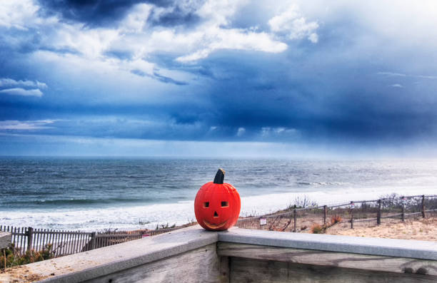 Nauset Beach Pumpkin Massachusetts