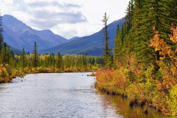 istock Autumn scenery in Banff National Park 1219570784