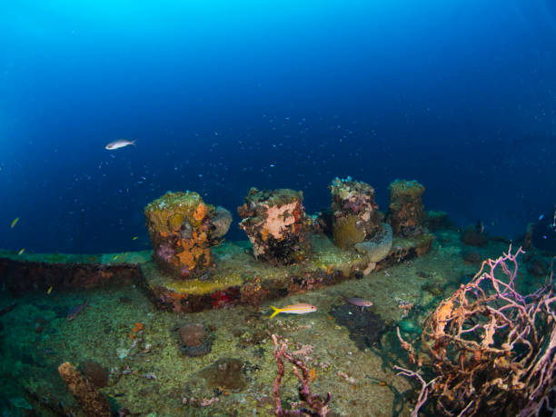 istock Rail and bollard if a ship wreck 1219570837