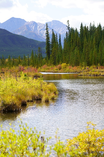 Autumn scenery in Banff National Park