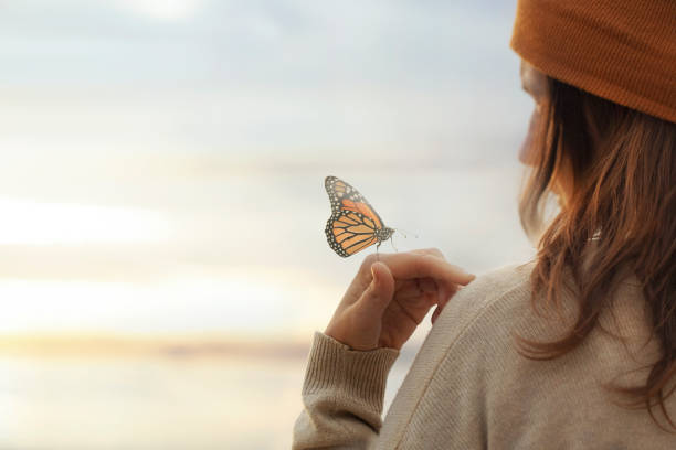 colorful butterfly is laying on a woman's hand stock photo