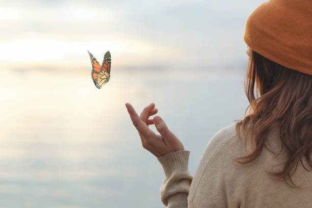 mariposa de colores está tendiendo en la mano de una mujer - adult affectionate love animal fotografías e imágenes de stock