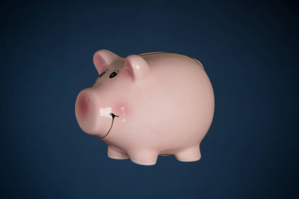 istock Piggy bank 1219580335