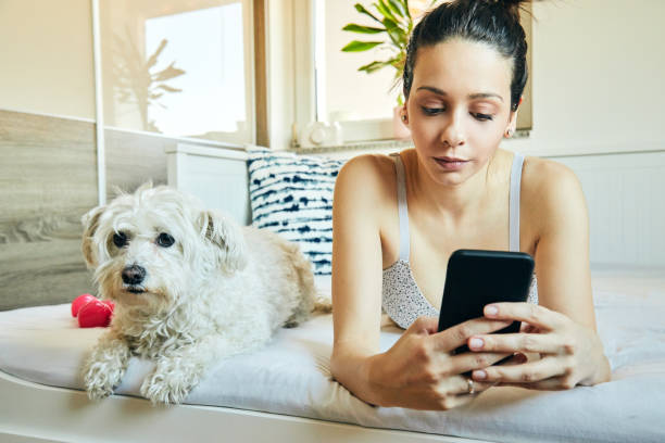 istock Cute girl relaxing after gym with dog while using cellphone. 1219580704
