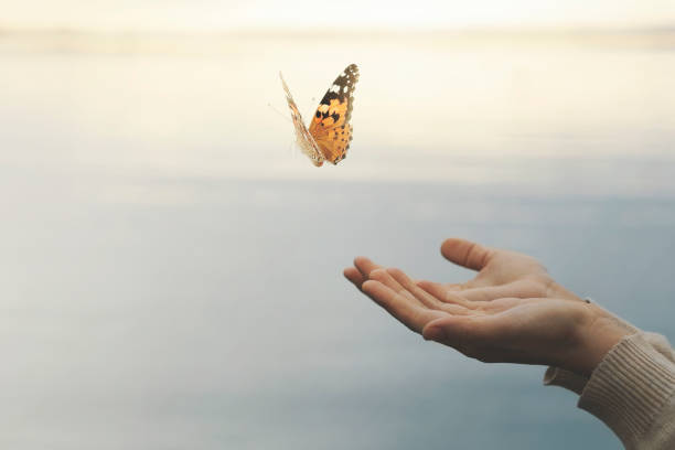 farfalla vola libero dalla mano di una donna - light touch foto e immagini stock