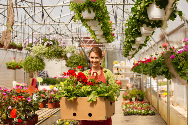istock Greenhouse worker carrying her flowers and smiling 1219581939
