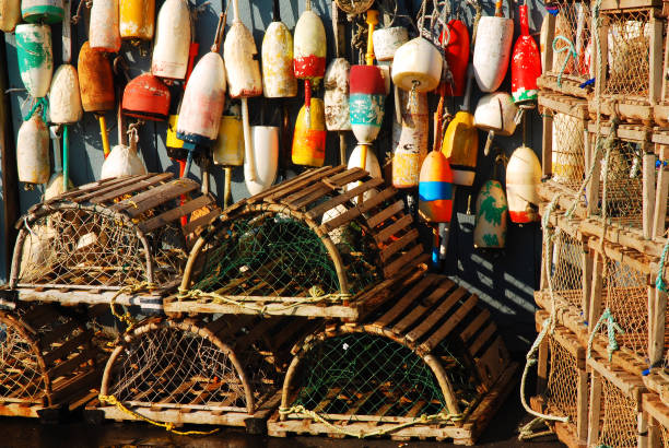 istock Lobster traps and buoys 1219582871