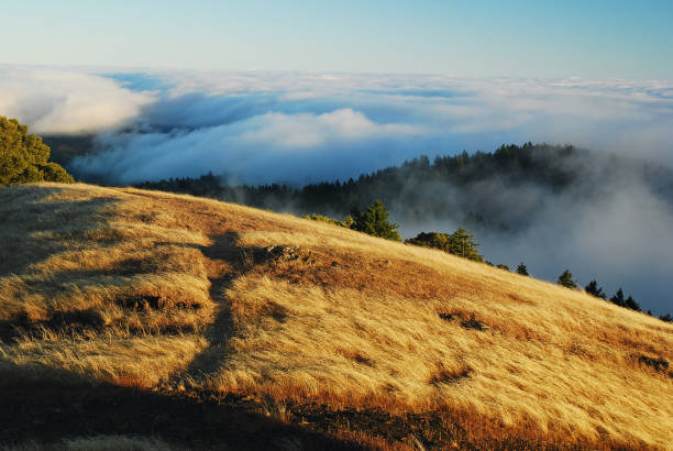 istock A hilltop above the fog 1219582908