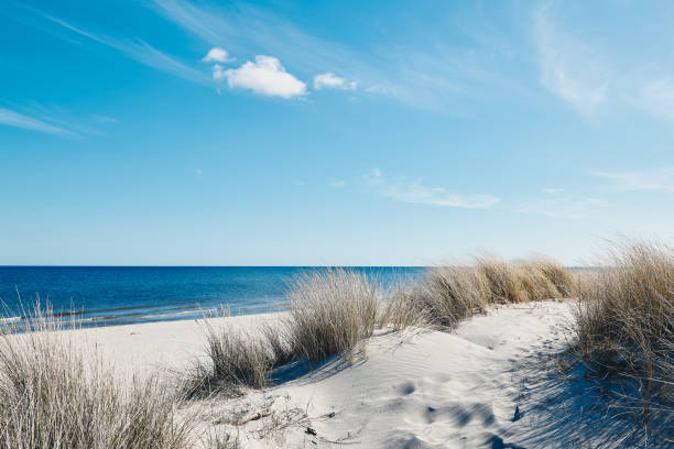 istock Peaceful sandy lonely sea beach 1219583298