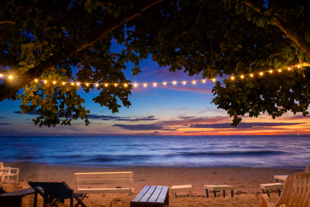 beach party in twilight time