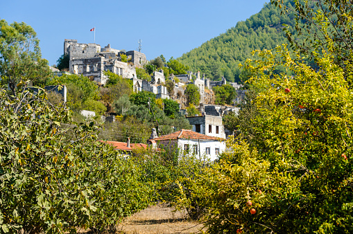 Pomegranate trees growing at the foot of the ruins of the former Greek village of Kayakoy in Turkey,