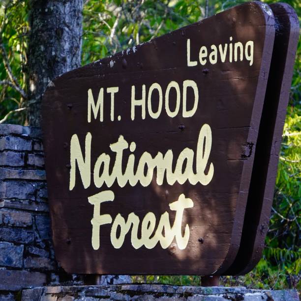 istock Mt. Hood Forest Sign 1219594629