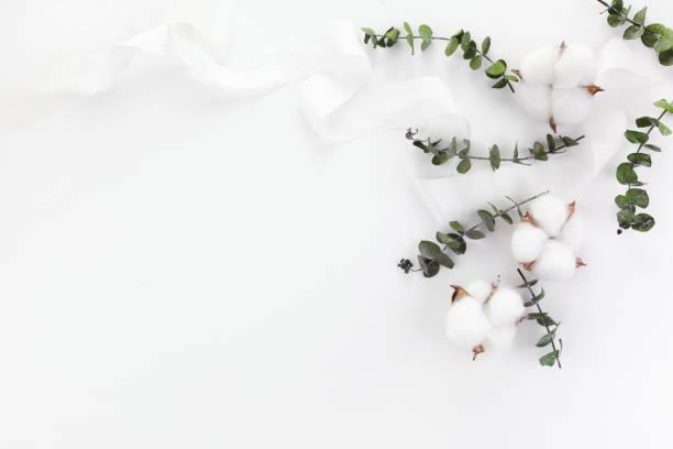istock Dry plants and silk ribbon on white background. Flat lay, top view. 1219595278
