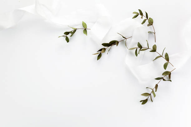 istock Dry plants and silk ribbon on white background. Flat lay, top view. 1219595295