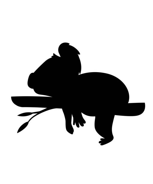 ilustrações, clipart, desenhos animados e ícones de urso coala silhueta preta está apoiado em um ramo de madeira desenho animal desenho ilustração vetorial plana isolado em fundo branco - koala bear animals in the wild perching