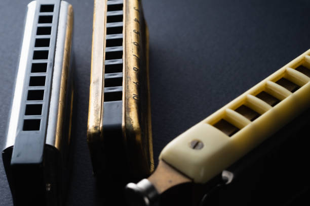 istock old diatonic and chromatic labials are nearby on a dark background. Horizontal orientation. copy space on the left 1219596384