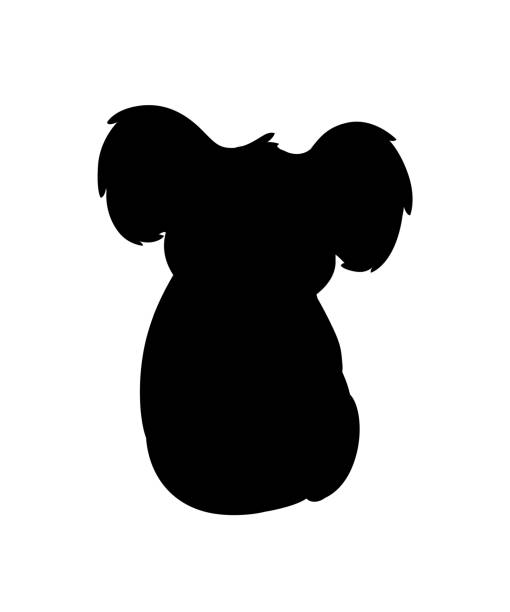 schwarze silhouette niedlichen koala bär sitzen auf dem boden und blick auf sie cartoon tier design flache vektor-illustration isoliert auf weißem hintergrund - koala australia animal isolated stock-grafiken, -clipart, -cartoons und -symbole