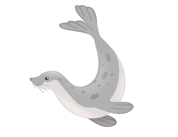Cute Seal Cartoon Animal Design Flat Vector Illustration Isolated On White Background Stock Illustration - Download Image Now - iStock Cute Seal Cartoon Animal Design Flat Vector Illustration Isolated On White Background Stock Illustration - Download Image Now - iStock