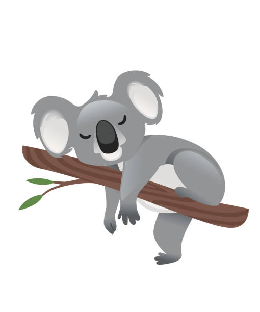 süße graue koala bär schlafen auf holz zweig mit grünen blättern cartoon tier design flache vektor-illustration isoliert auf weißem hintergrund - koala australia animal isolated stock-grafiken, -clipart, -cartoons und -symbole