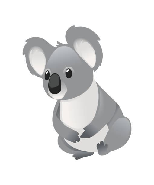 ilustrações, clipart, desenhos animados e ícones de bonito urso coala cinza sentar no chão e olhando para a frente desenho animal desenho plano vetorial ilustração isolada em fundo branco - koala bear animals in the wild perching