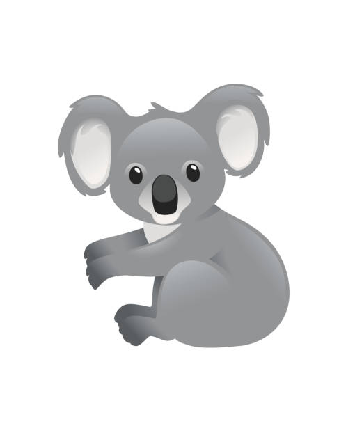 ilustrações, clipart, desenhos animados e ícones de bonito urso coala cinza sentar no chão e olhando para você desenho animal desenho de desenho plano ilustração vetorial isolado em fundo branco - koala bear animals in the wild perching