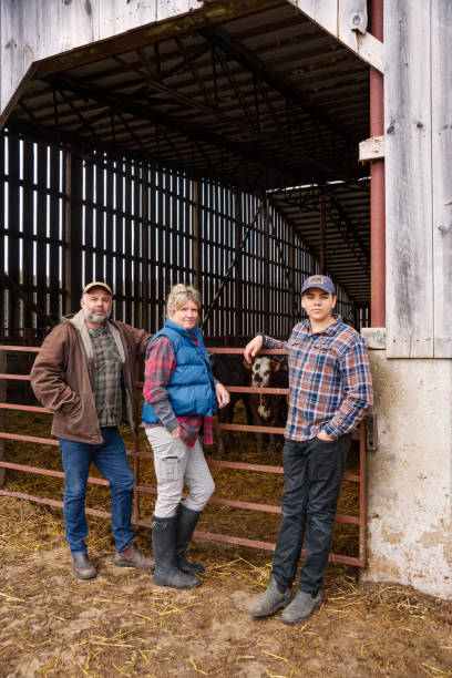 istock Cattle farming family 1219599427