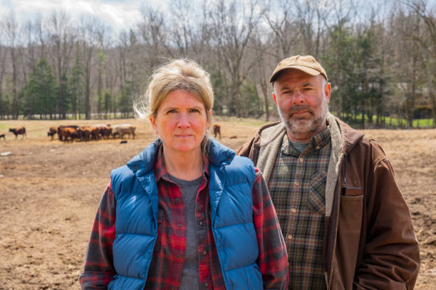 istock Cattle farming couple 1219600391