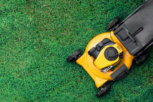 Yellow lawn mowers cut green grass. stock photo