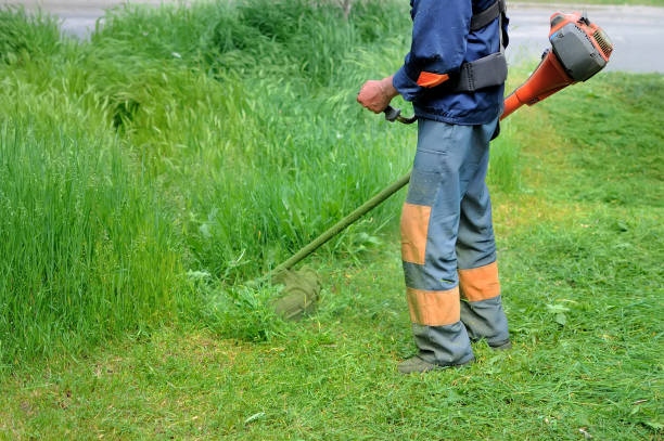 istock Worker of a garden cuts off a grass 1219608428