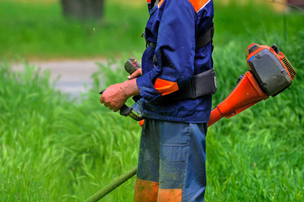 istock Worker of a garden cuts off a grass 1219608650