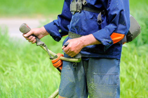 istock Worker of a garden cuts off a grass. 1219608690