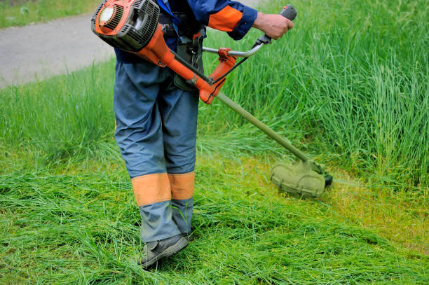 istock Worker of a garden cuts off a grass 1219608704