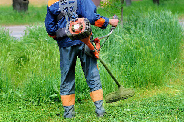 istock Worker of a garden cuts off a grass 1219608755