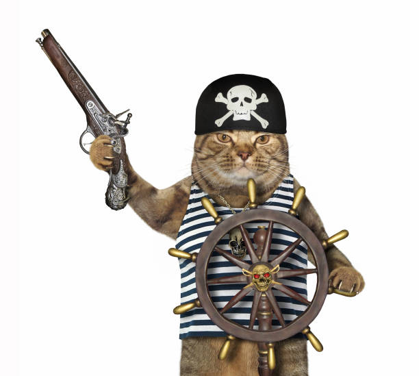 istock Cat pirate at helm of ship 3 1219609219