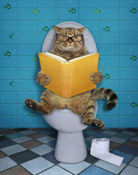 istock Cat sits on toilet with book 1219609725