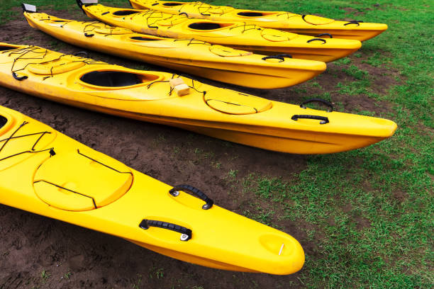 istock kayaks lie on the green lawn 1219610417