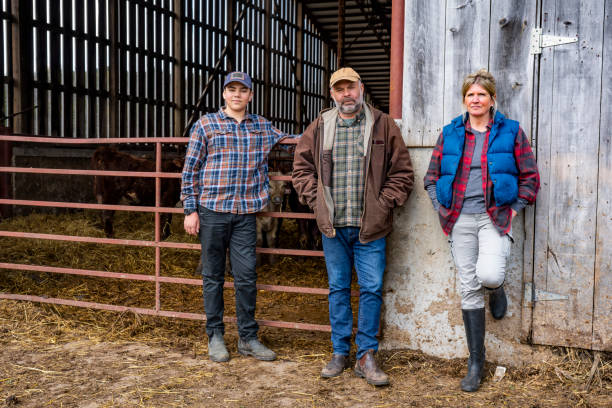 istock Cattle farming family 1219612076