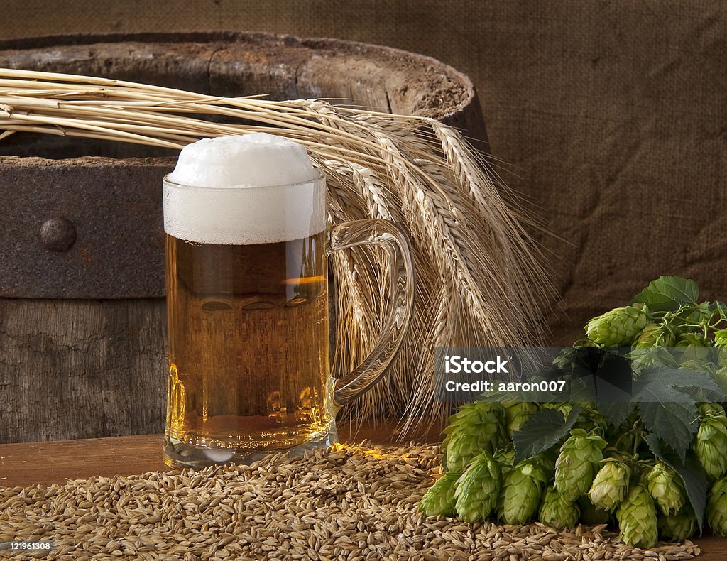 beer with hopscone and barley taken under studio light with electronic flash Hensel to RAW, Nikon D200 Pilsner Stock Photo