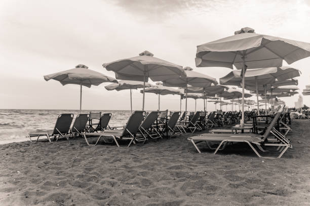 istock Parasols at the beach 1219615771
